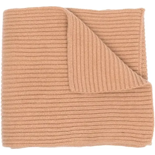 Ribbed Wool Cashmere Scarf , male, Sizes: ONE SIZE - A.p.c. - Modalova