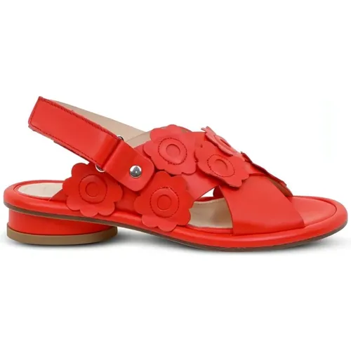 Flat Sandals , female, Sizes: 7 UK, 4 UK, 8 UK, 5 UK - AGL - Modalova