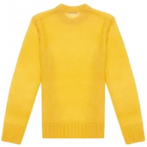 Sweater , female, Sizes: M, L - Acne Studios - Modalova