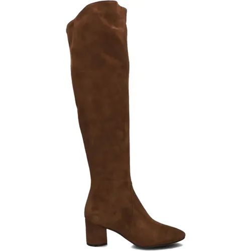 Wildleder Stiefel Giusy 4 Cognac - Stefano Lauran - Modalova