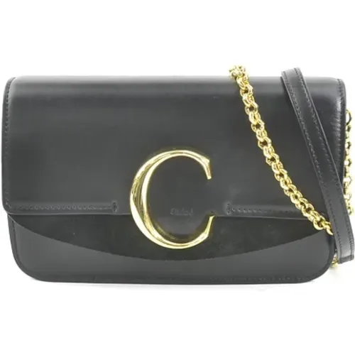 Pre-owned Cross Body Bags, female, , Size: ONE SIZE Pre-owned Fabric crossbody-bags - Chloé Pre-owned - Modalova