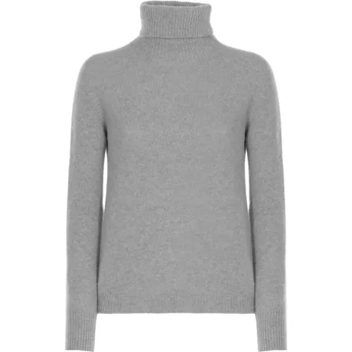 Kaschmir Rollkragenpullover Grau , Damen, Größe: S - Vanisé - Modalova