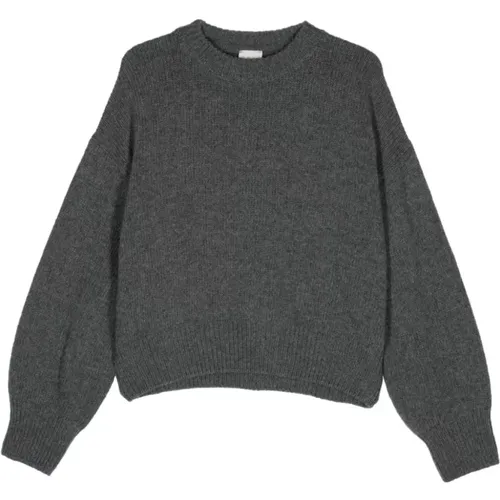 Grey Wool Knit Sweater , female, Sizes: S, XS, M - Alysi - Modalova