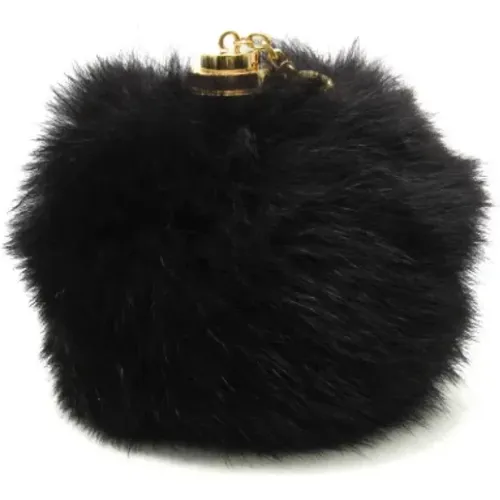 Pre-owned Accessories, female, , Size: ONE SIZE Pre-owned Fur wallets - Louis Vuitton Vintage - Modalova