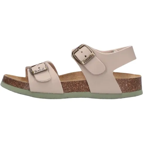 Jungen Sandalen Shark Scholl - Scholl - Modalova