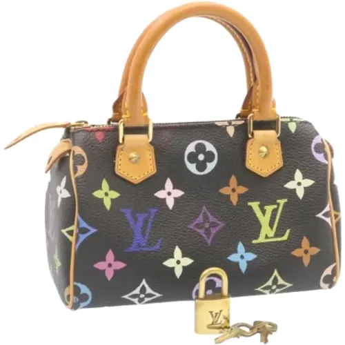 Pre-owned Leather handbags , female, Sizes: ONE SIZE - Louis Vuitton Vintage - Modalova