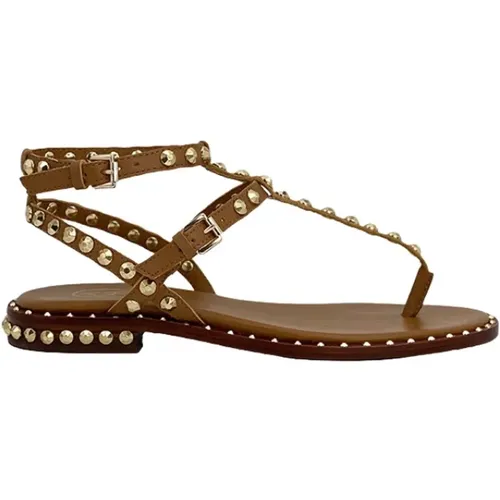Flat Sandals , female, Sizes: 8 UK, 3 UK, 5 UK - Ash - Modalova