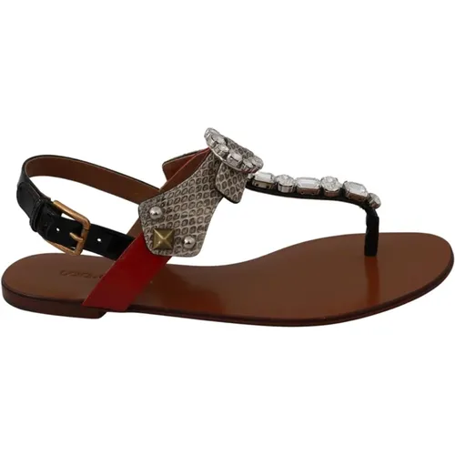 Crystal Embellished Sandals , female, Sizes: 3 UK, 2 UK - Dolce & Gabbana - Modalova