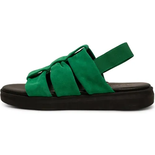 Sandals , female, Sizes: 3 UK - Shoe the Bear - Modalova