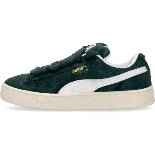 Sneakers, male, , Size: 12 US Suede Low Shoe with Oversize Laces - Puma - Modalova