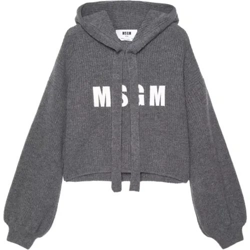 Hoodies, female, , Size: XS Grey Sweater with Hood and Logo - Msgm - Modalova