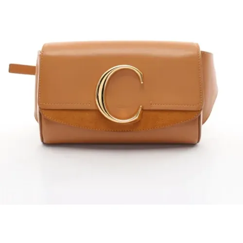 Pre-owned Cross Body Bags, female, , Size: ONE SIZE Pre-owned Suede shoulder-bags - Chloé Pre-owned - Modalova