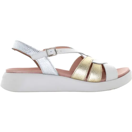 Shoes , female, Sizes: 7 UK - Wonders - Modalova