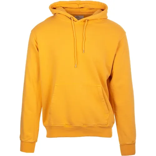 Hoodies , male, Sizes: S - Colorful Standard - Modalova