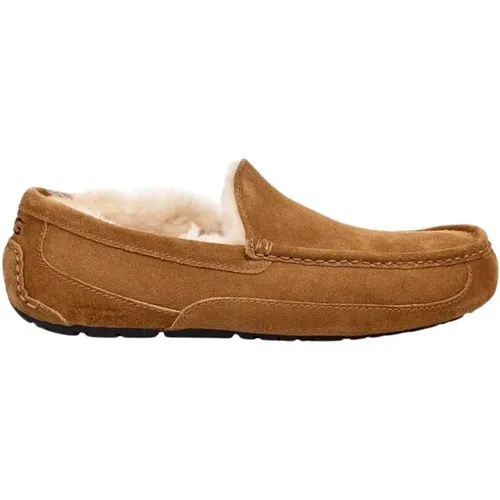 Slippers, male, , Size: 7 US Ascot Slippers - Ugg - Modalova