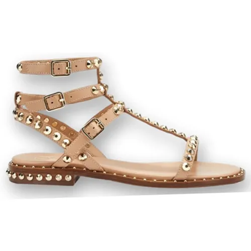 Studded Gladiator Sandals , female, Sizes: 4 UK, 6 UK, 7 UK - Ash - Modalova