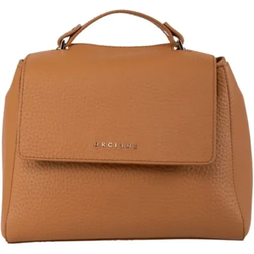 Women's Leather Handbag , female, Sizes: ONE SIZE - Orciani - Modalova