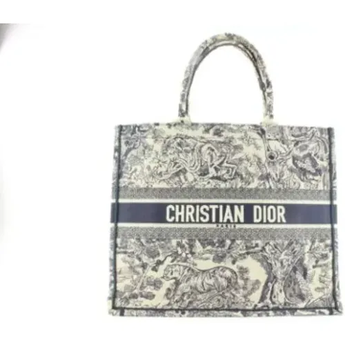 Pre-owned Shoulder Bags, female, , Size: ONE SIZE Pre-owned Fabric dior-bags - Dior Vintage - Modalova