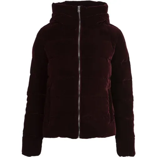 Stylish Winter Jacket for Women , female, Sizes: M, 2XS - Museum - Modalova