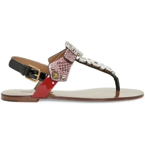 Flat Sandals, female, , Size: 5 US Womens Shoes Sandals Pink Ss22 - Dolce & Gabbana - Modalova