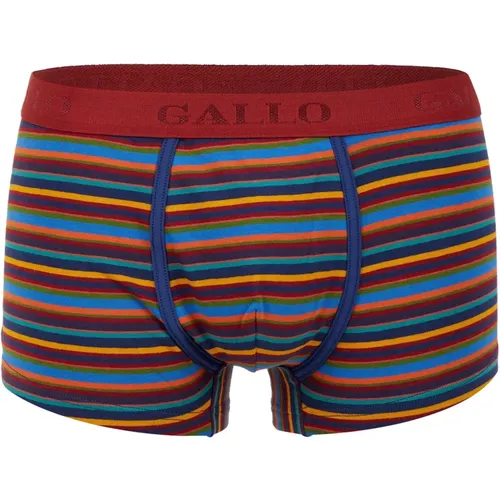 Herren blaue Baumwollboxershorts mit mehrfarbigen Streifen , Herren, Größe: L - Gallo - Modalova