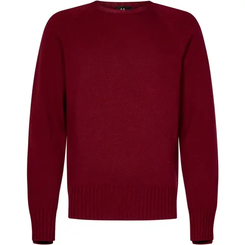 Burgundy Wool Cashmere Sweater , male, Sizes: L, S, XL - Doppiaa - Modalova