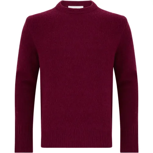 AMARÁNTO, Round-neck Knitwear, male, , Size: S Bordeaux Crewneck Sweater Aw24 - Amaránto - Modalova