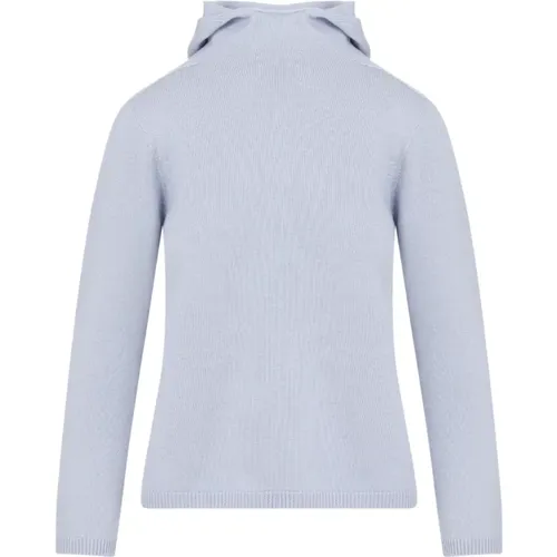 Wool Knit Hoodie Sweater , female, Sizes: S, XS - Max Mara - Modalova