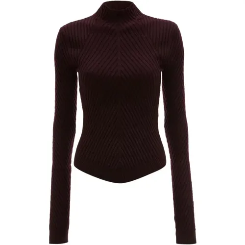 Turtlenecks, female, , Size: M Burgundy Chevron Pattern Turtleneck Sweater - Victoria Beckham - Modalova