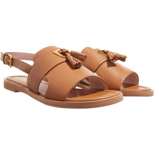 Sandalen & Sandaletten - Sandal Flat Smooth Selleria - Gr. 38 (EU) - in - für Damen - Coccinelle - Modalova