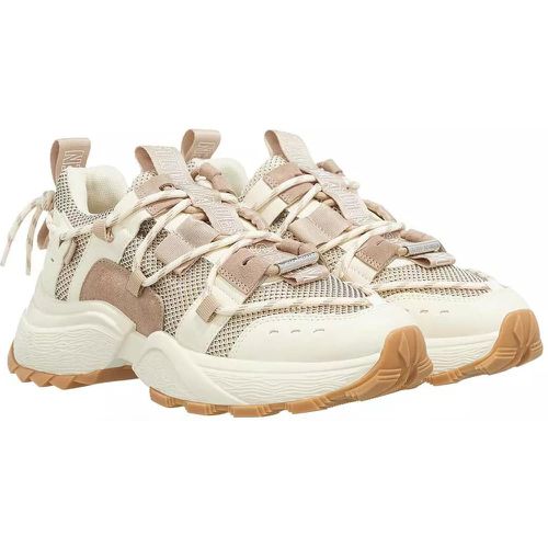 Low-Top Sneaker - Tazmania - Gr. 36 (EU) - in - für Damen - Steve Madden - Modalova