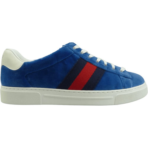 Low-Top Sneaker - Sneaker ACE blu - Gr. 40 (EU) - in - für Damen - Gucci - Modalova