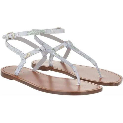 Sandalen & Sandaletten - Thongs Conchiglie Baby - Gr. 36 (EU) - in - für Damen - EMILIO PUCCI - Modalova