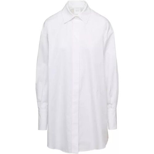 Mini White Shirt Dress With High Cuffs In Cotton - Größe 38 - white - Patou - Modalova