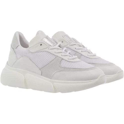 Sneaker - Many - Gr. 39 (EU) - in - für Damen - Steve Madden - Modalova