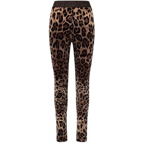 Leopard Leggings - Größe 40 - brown - Dolce&Gabbana - Modalova