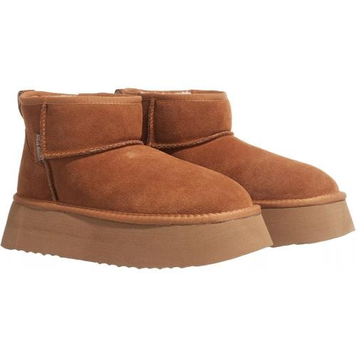 Stiefel & Boots - Campfire - Gr. 36 (EU) - in - für Damen - Steve Madden - Modalova