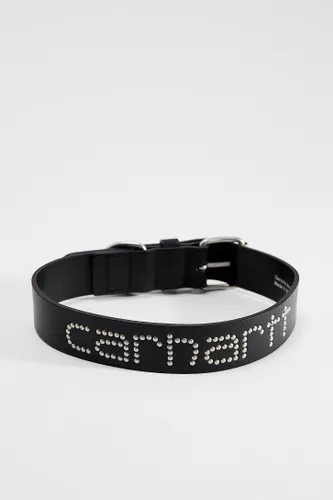 Script Studs Dog Collar - Black at Urban Outfitters - Carhartt WIP - Modalova