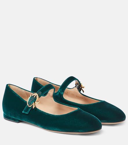 Mary Ribbon velvet ballet flats - Gianvito Rossi - Modalova