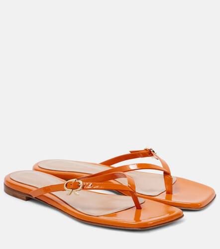 Ribbon patent leather thong sandals - Gianvito Rossi - Modalova