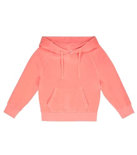 Orlando Barista cotton hoodie - Morley - Modalova