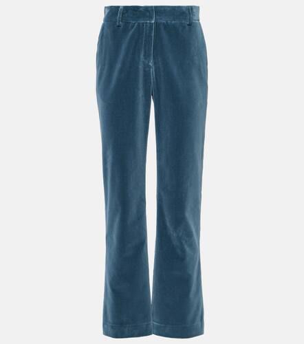 Cotton velvet flared pants - La DoubleJ - Modalova