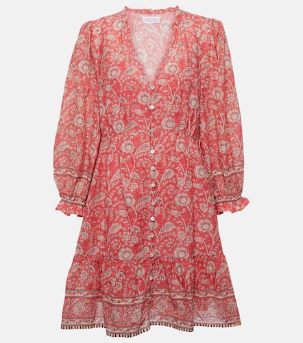 Velvet Mary floral cotton minidress - Velvet - Modalova