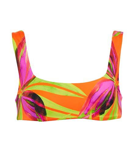 Scoop printed bikini top - Louisa Ballou - Modalova