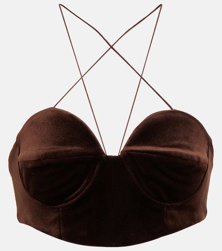 Halterneck velvet bralette - Alex Perry - Modalova