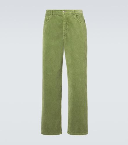 Pantaloni regular in velluto di cotone - Auralee - Modalova