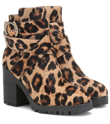 Leopard-print calf hair ankle boots - Charlotte Olympia - Modalova