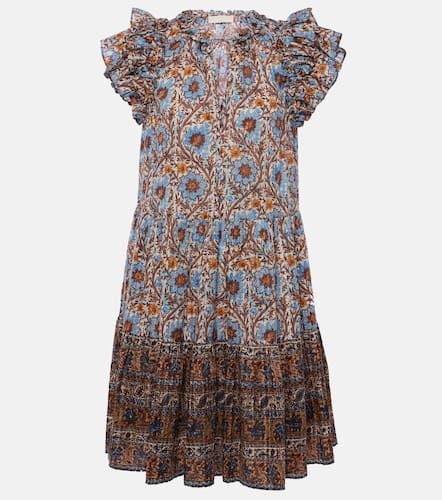 Coletta ruffled cotton-blend minidress - Ulla Johnson - Modalova