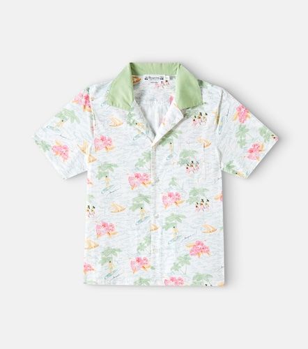 Camisa Steve de popelín de algodón - Bonpoint - Modalova