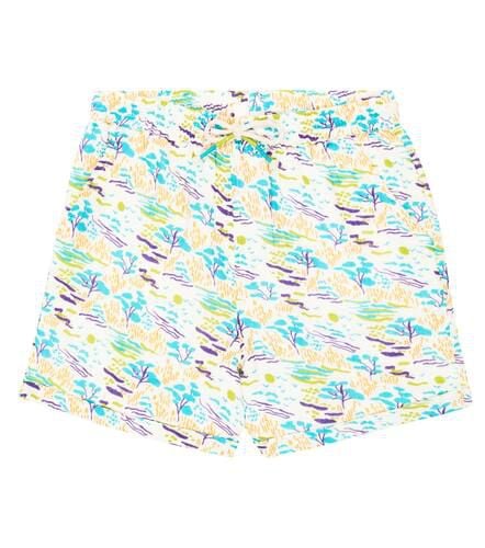 Aliki printed cotton shorts - Louise Misha - Modalova